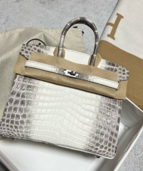 에르메스 버킨백25 히말라야 은장